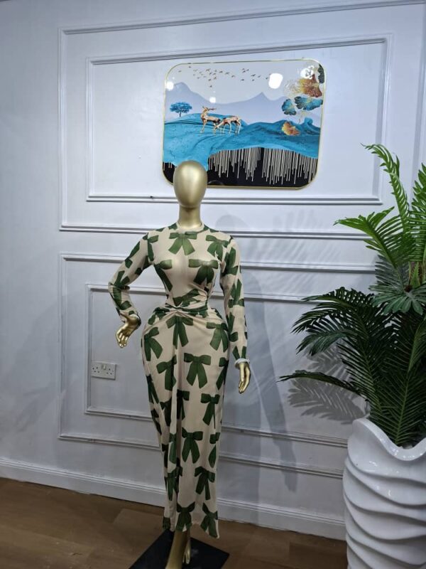 mmesh Elegant Mesh Gown